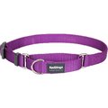 Red Dingo Martingale Dog Collar Classic Purple, Small RE437176